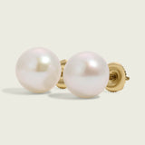 Classic Freshwater Pearl Gold Stud Earrings